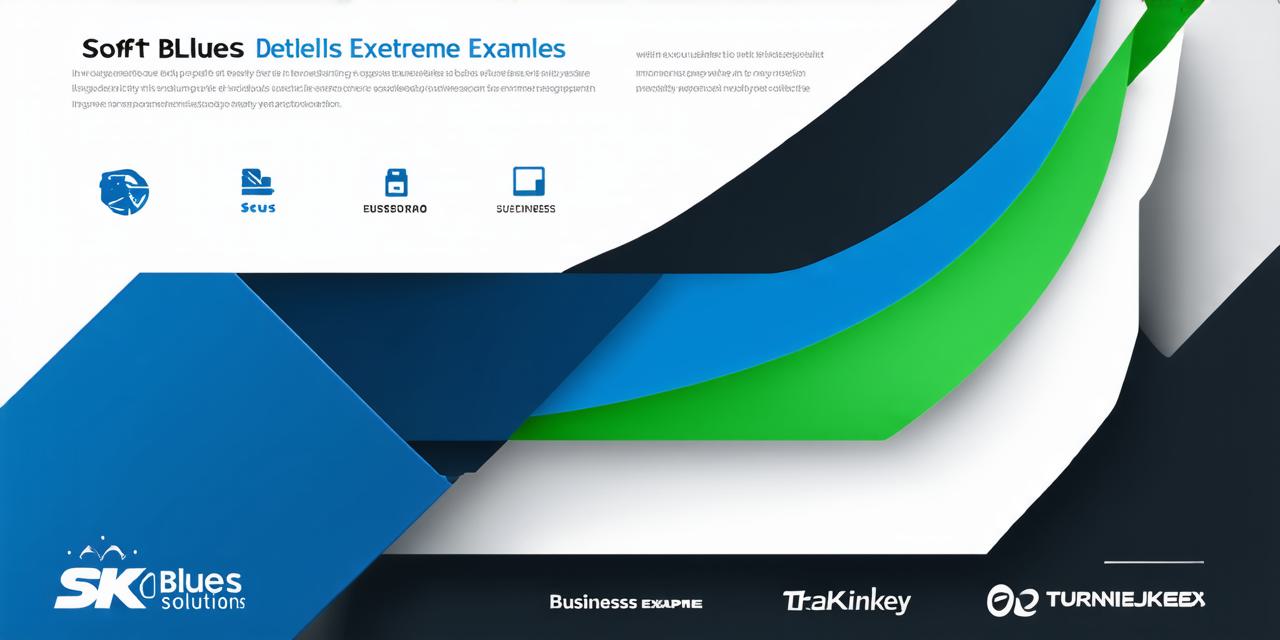 Successful Turnkey Solution Business Examples