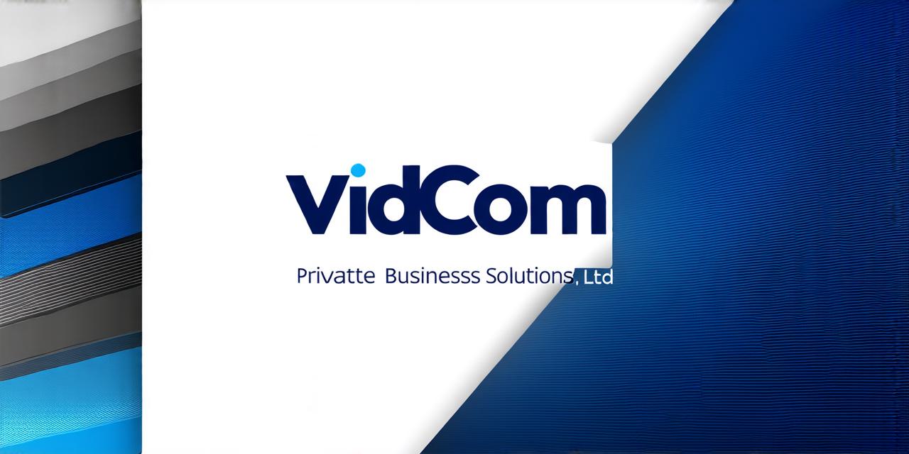 Get effective business solutions from Vidcom Private Limited